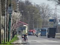 Imagine atasata: Borcan Militie Lugojului - 2014.03.22 - 1.jpg